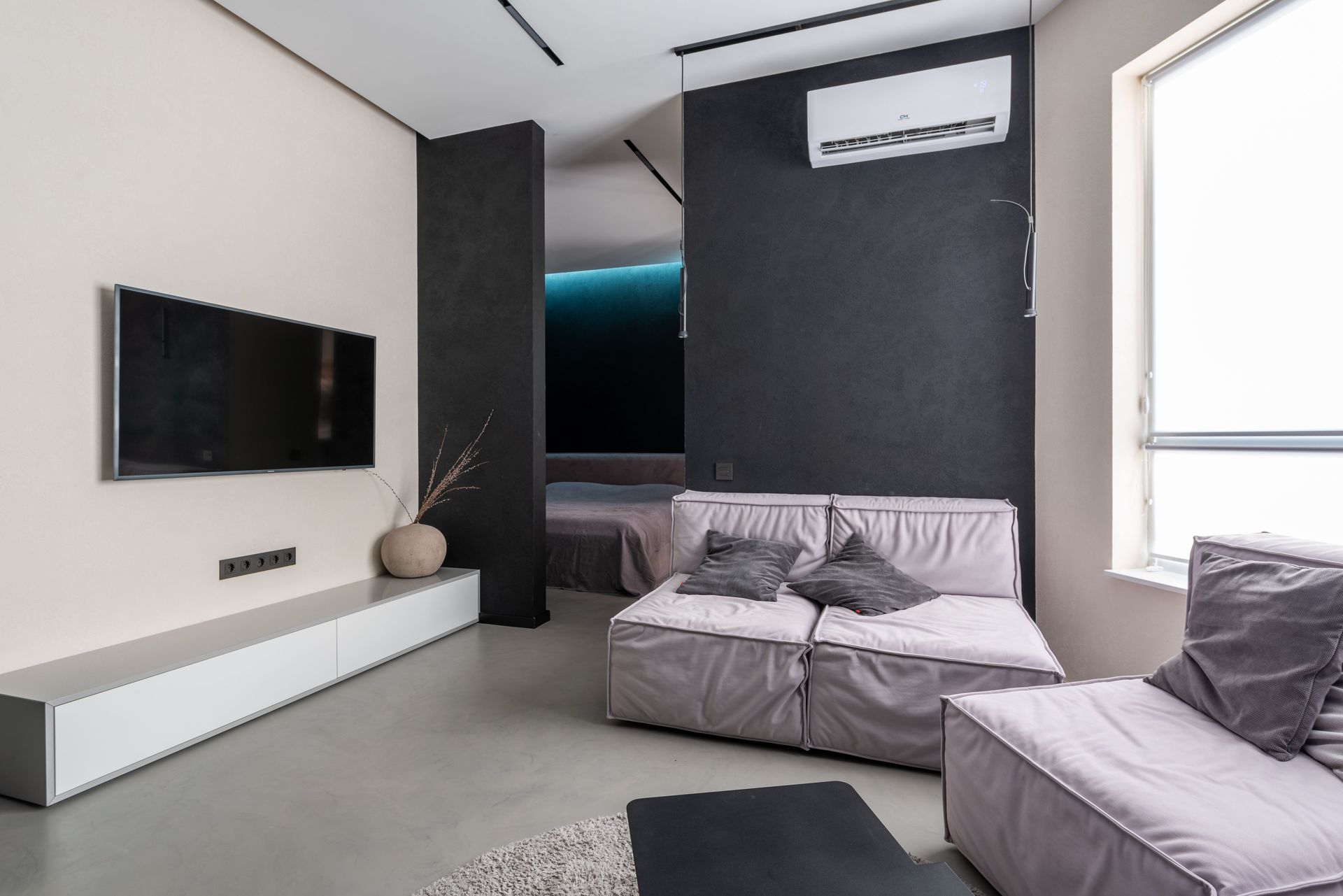 Interior design of modern spacious living room furnished with soft couches with pillows and television set